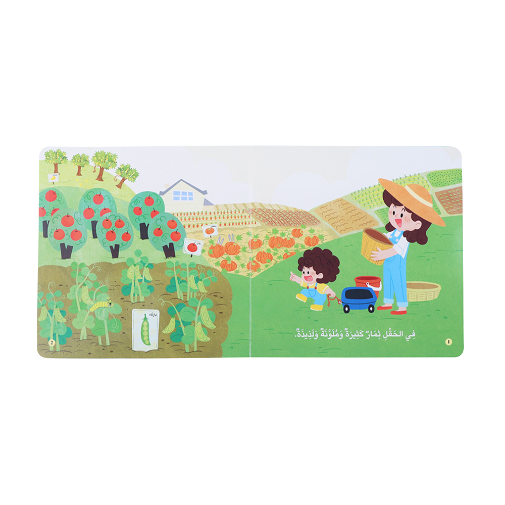 المكتشف الصغير – الثمار الملونة - The Little Explorer – Colorful Fruits